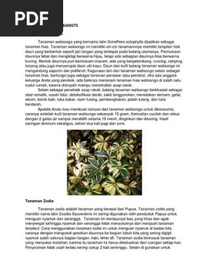 Tanaman Walisongo | PDF
