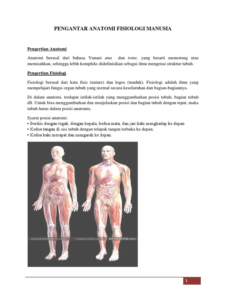 Pengantar Anatomi Fisiologi Manusia Kul 1 | PDF