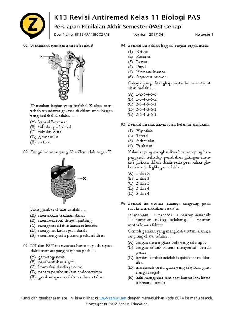 Soal Biologi Kelas 11 Zenius