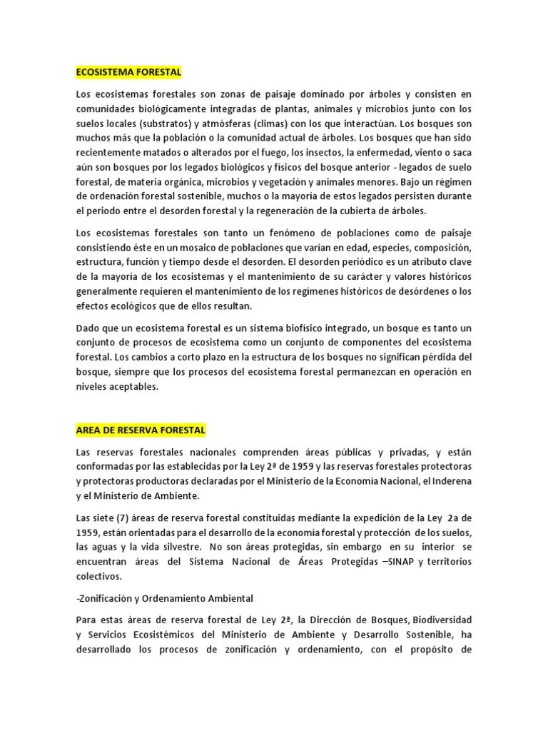 Ecosistema Forestal | PDF | Los Bosques | Ecosistema