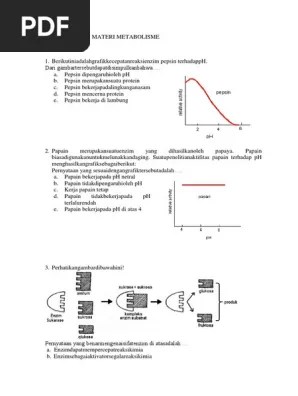Adik adik dimana saja berada, pada kesempatan kali ini kakak ingin membagikan beberapa contoh soal yang mungkin akan dibutuhkan adik adik, soal kali ini . Contoh Soal Hots Biologi Kelas Xi Contoh Soal Terbaru