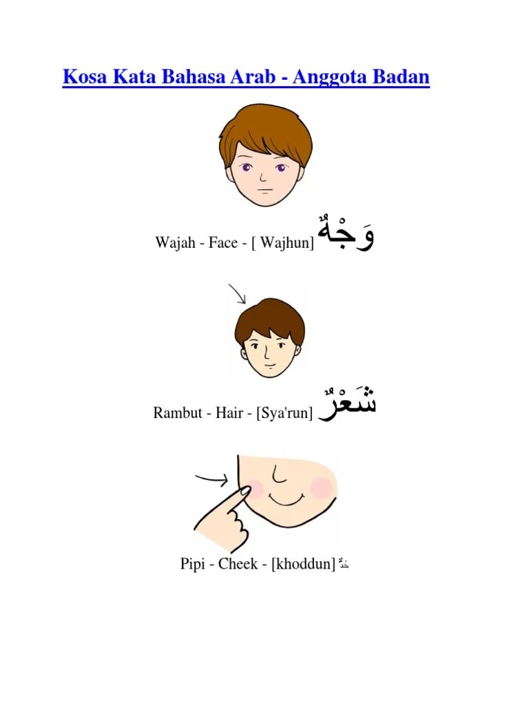 Percakapan bahasa arab tentang anggota tubuh badan manusia antara 2 orang anak laki laki dan perempuan artinya indonesia teks latin. Kosa Kata Bahasa Arab Pdf