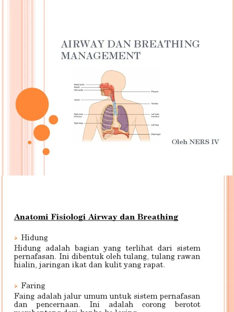 Airway Dan Breathing Management | PDF