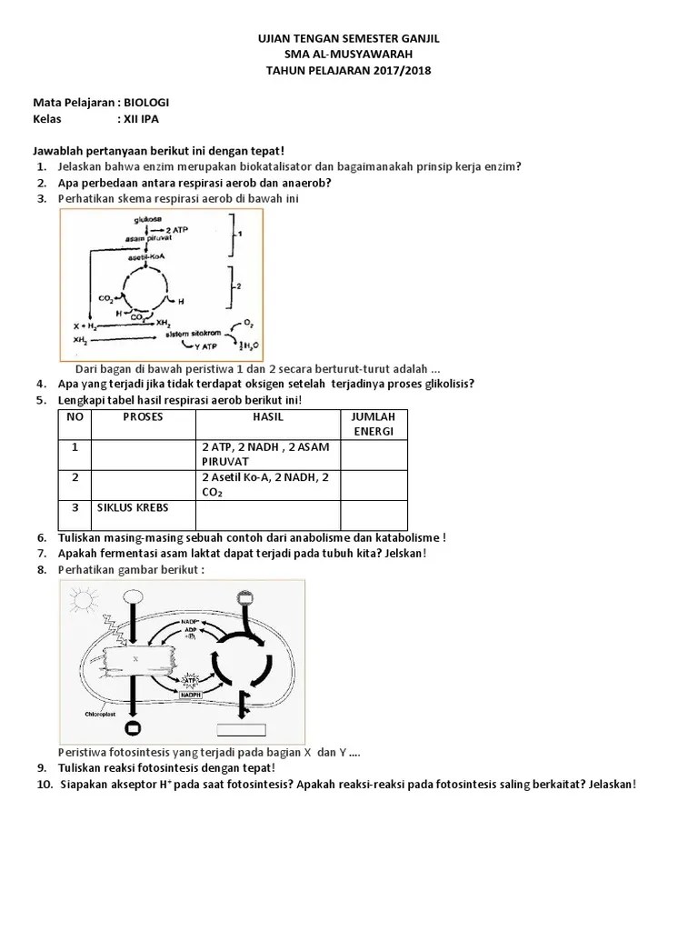 Ujian Tengan Semester Ganjil