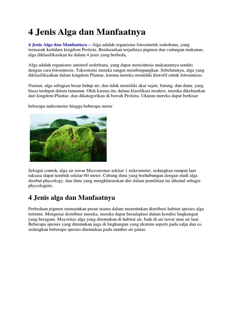 4 Jenis Alga Dan Manfaatnya | PDF
