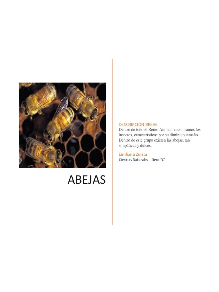 Las Abejas | PDF | Abejas | Colmena