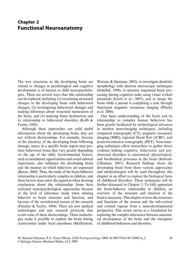 Functional Neuroanatomy | PDF | Neuron | Human Brain