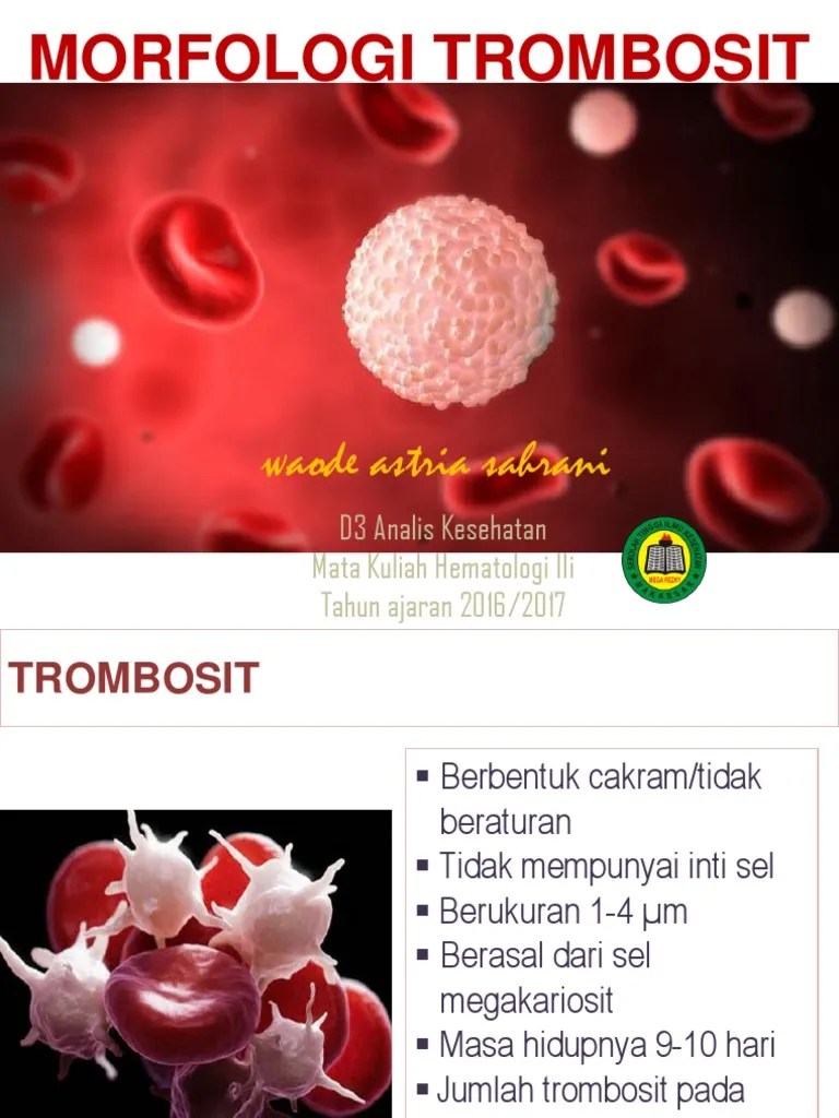 4.morfologi Trombosit | PDF