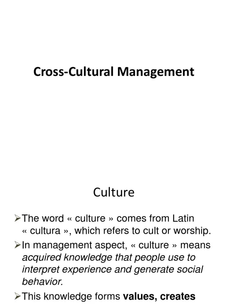 Cross Cultural Management | PDF | Psychology | Action (Philosophy)