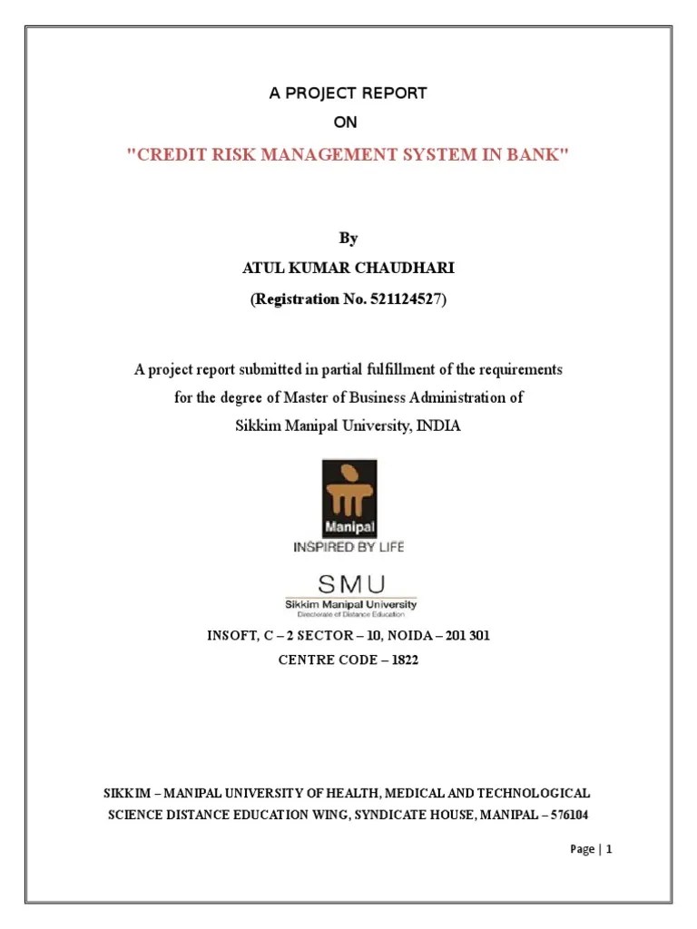 Bank - Credit Risk Management | PDF | Value At Risk | Basel Ii