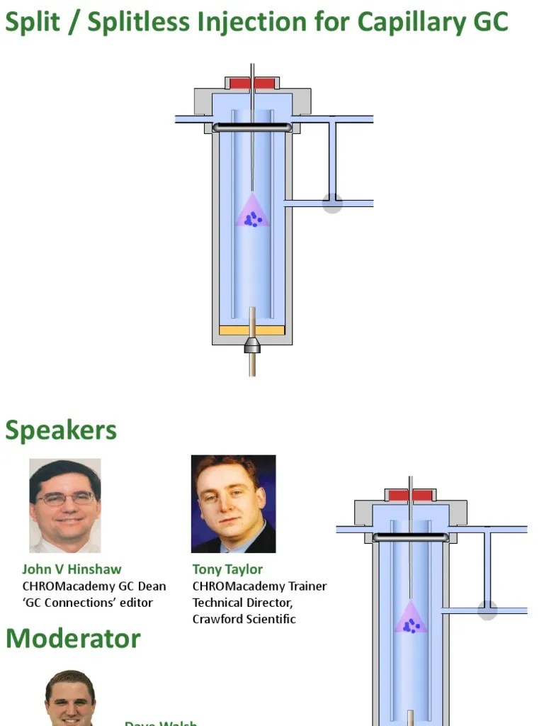 Split And Splitless Injection | PDF | Gas Chromatography | Laboratory Techniques