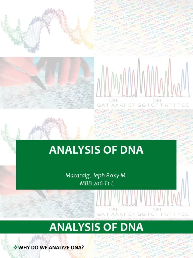 Dna Analysis | PDF | Gel Electrophoresis | Dna Sequencing