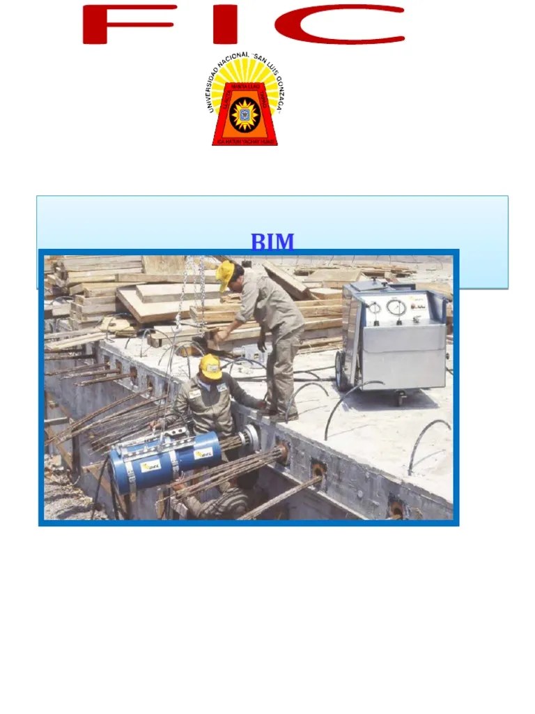 Bim Informacion | PDF | Modelado De Información De Construcción | Diseño