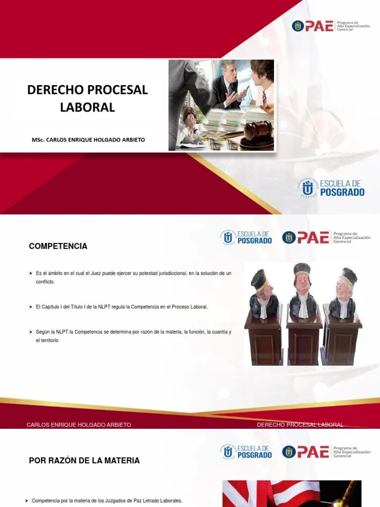 Derecho Procesal Laboral Sesión | Descargar Gratis PDF | Derecho ...