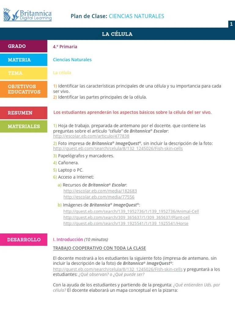 Celula PDF | PDF | Biología Celular) | Lectura (proceso)