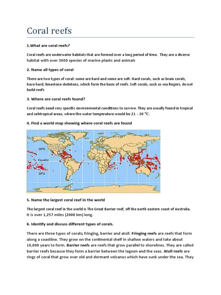 S 6 Geography 1 Notes Pdf Shoal Coral Reef - Gorgeous City Background - Retina