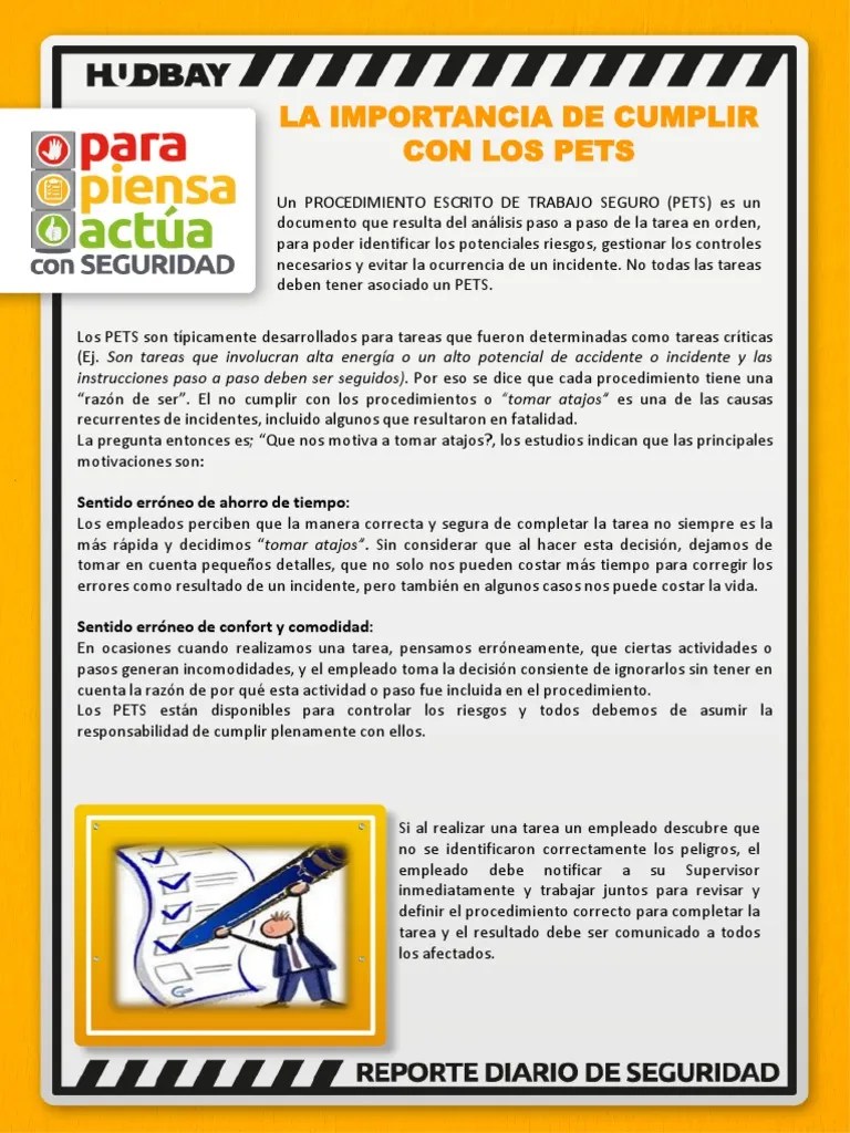 La Importancia De Cumplir Con Los Pets | PDF | Sicología | Business