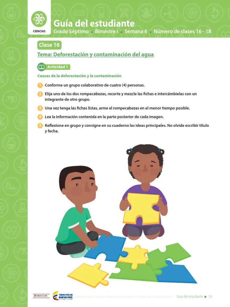 Deforestación Y Contaminación Del Agua | PDF | Deforestación | Los Bosques