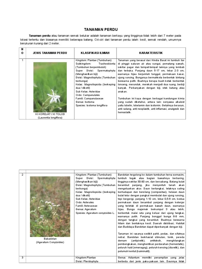 Tanaman Perdu | PDF