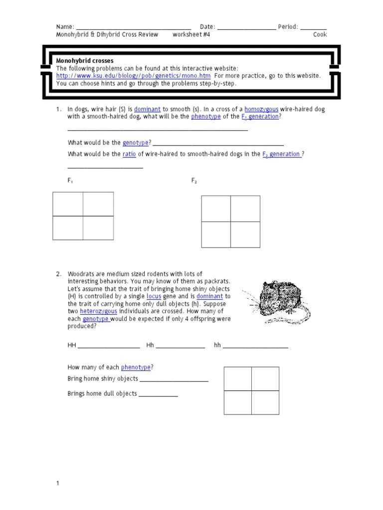 Genetics chapter 10 dihybrid cross worksheet answer key | mychaume.com worksheet: Monohybrid Dihybrid Cross Online Review Dominance Genetics Zygosity