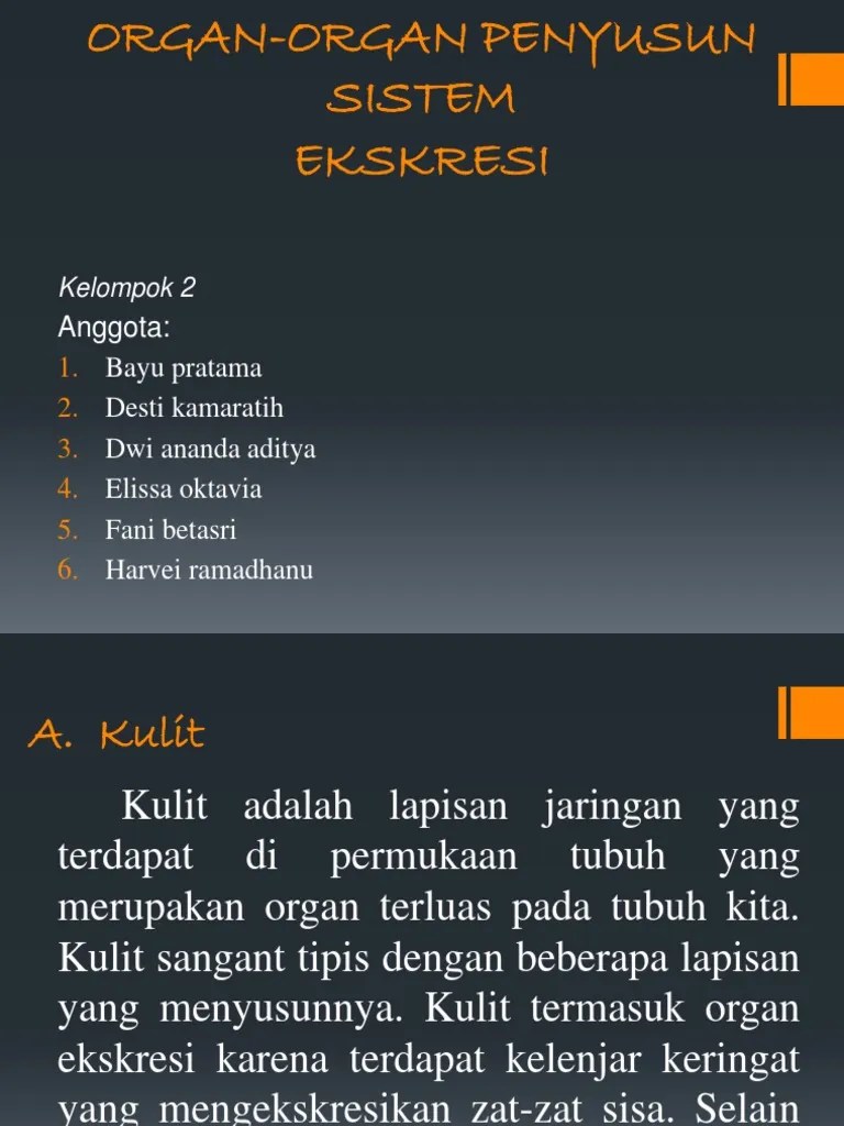 Organ-Organ Penyusun Sistem | PDF