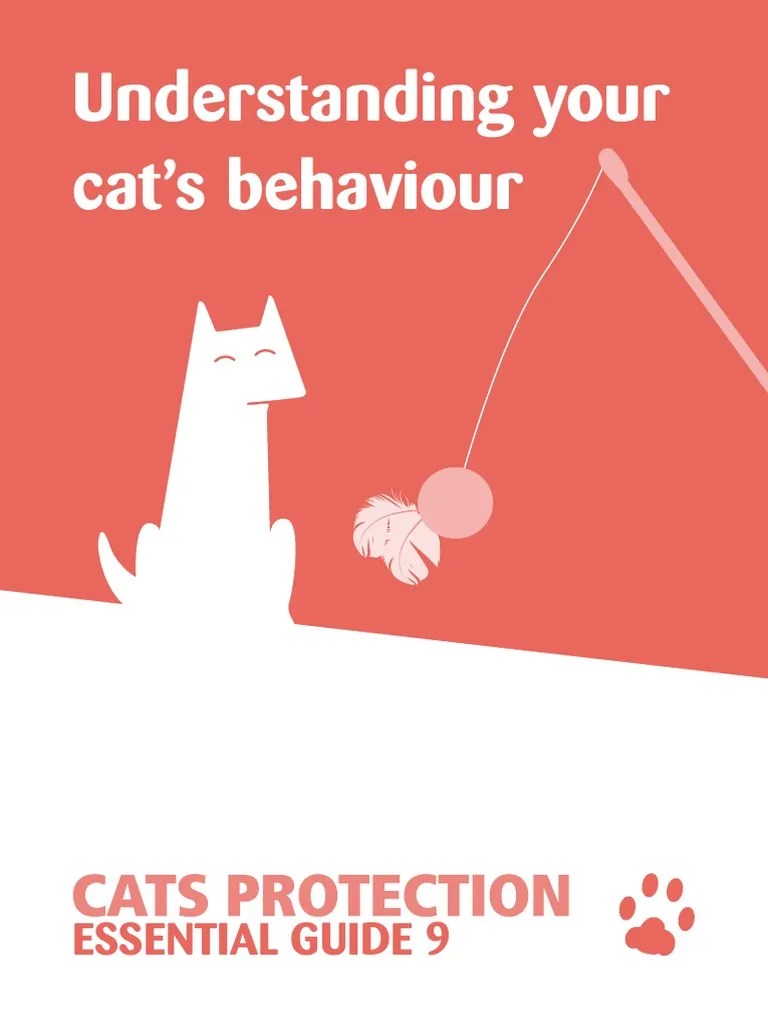 Cat Behaviour Guide | PDF | Cats | Kitten