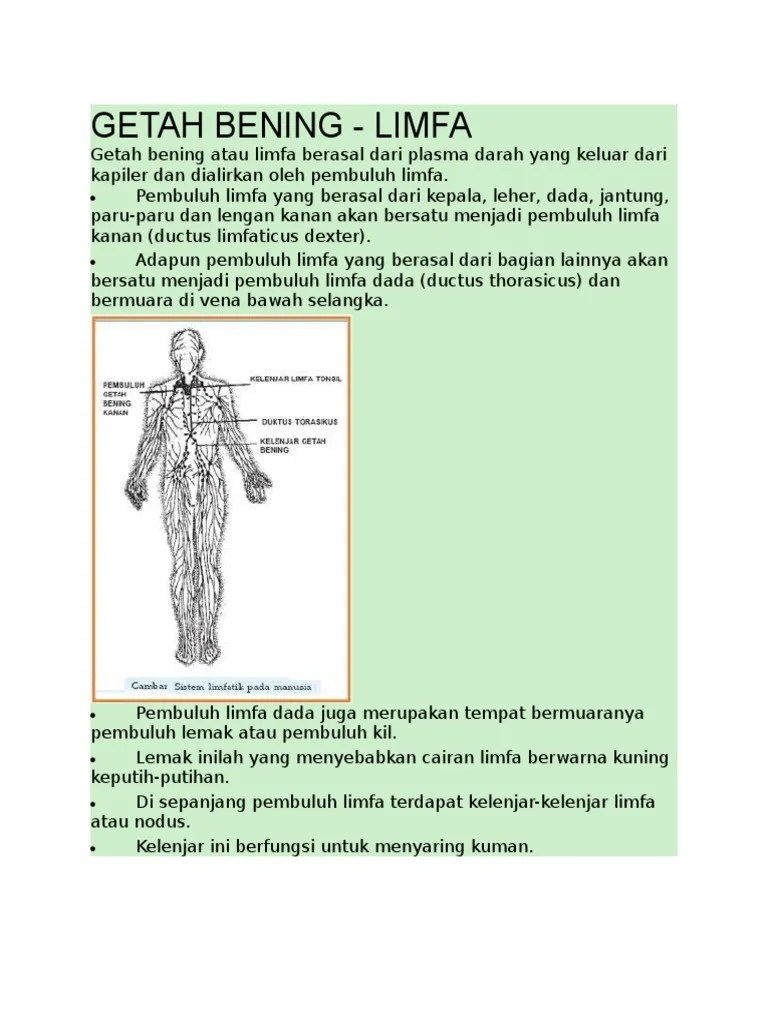 Artikel Getah Bening | PDF