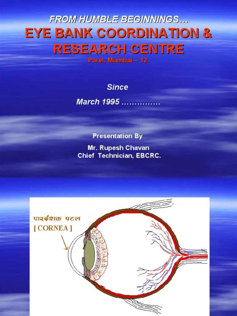 Eye Bank Coordination & Research Centre | PDF | Cornea | Vision