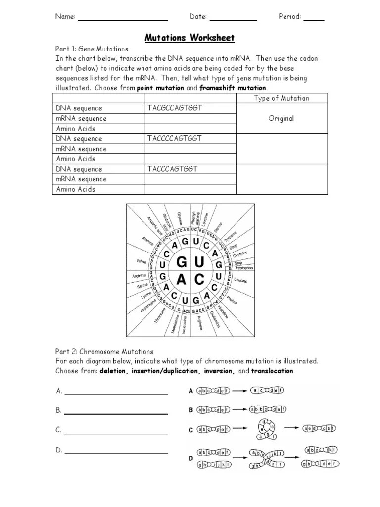 Now, missense mutations are a little different, and . Mutations Worksheet 2 Pdf Point Mutation Mutation