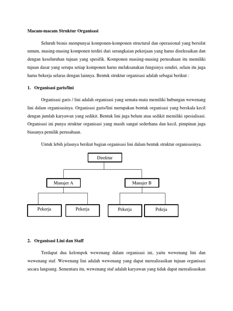 File Struktur Oganisasi | PDF