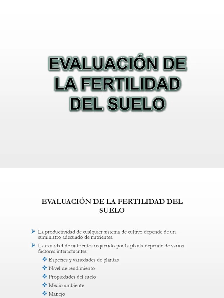 Evaluacion De La Fertilidad Del Suelo | PDF | Suelo | Plantas