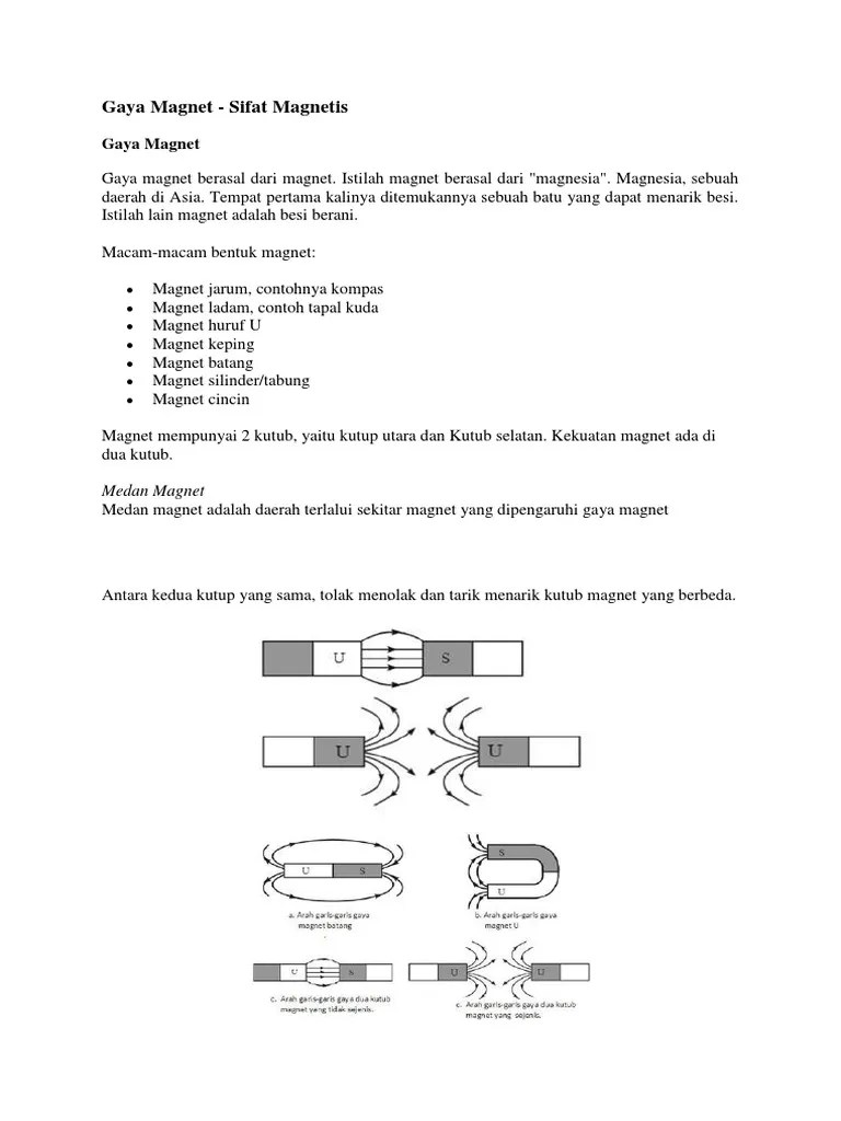 Gaya Magnet | PDF