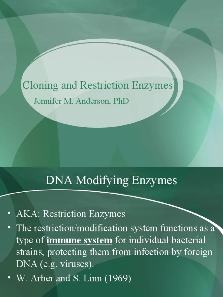 Cloning And Restriction Enzymes | PDF | Molecular Cloning | Biotechnology