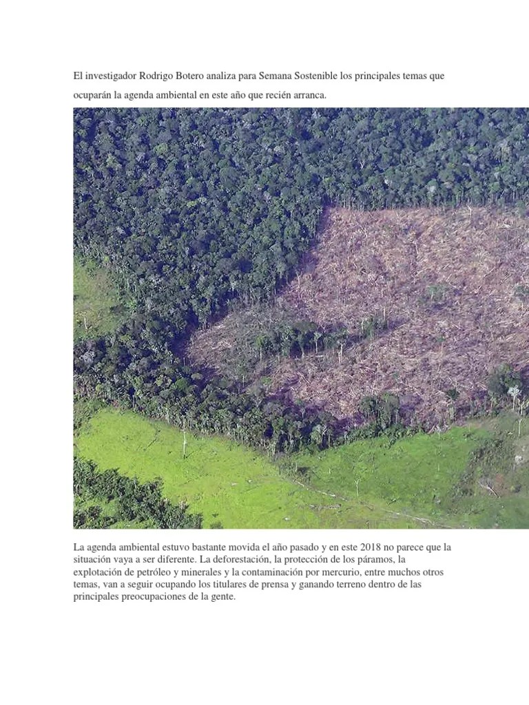 Contaminacion Ambiental | PDF | Los Bosques | Deforestación