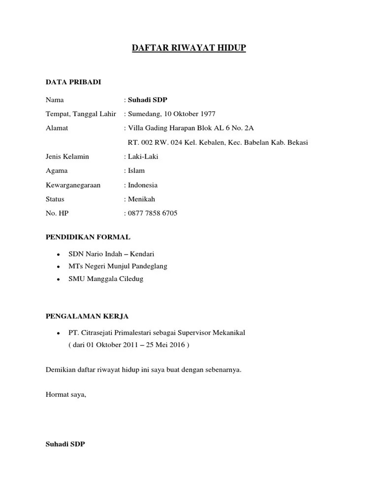 Doc Daftar Riwayat Hidup Docx Muhammad Ilham Academia Edu 