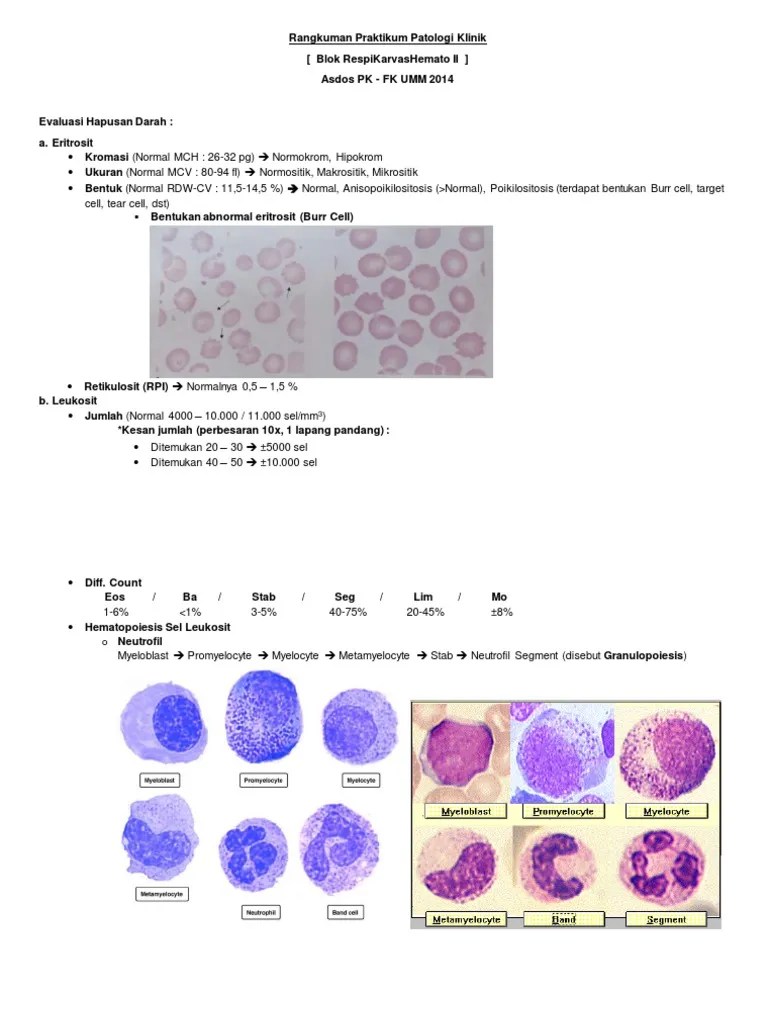 Rangkuman Praktikum Patologi Klinik | PDF