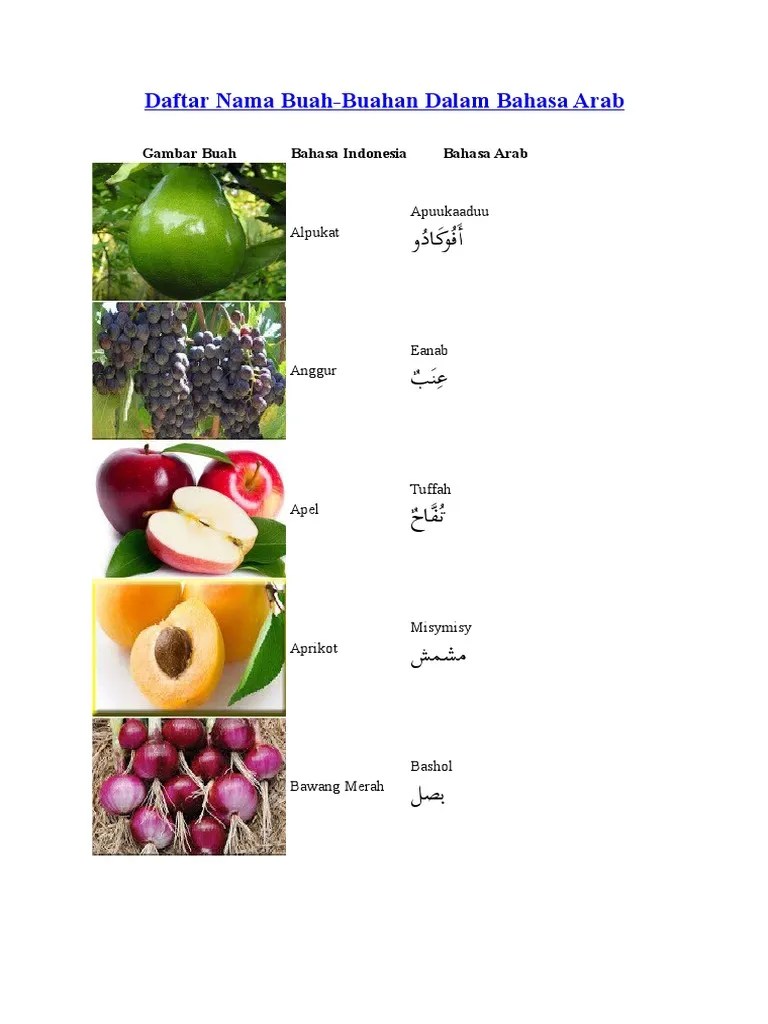 Ada buah alpukat, buah anggur, buah apel, . Daftar Nama Buah Pdf