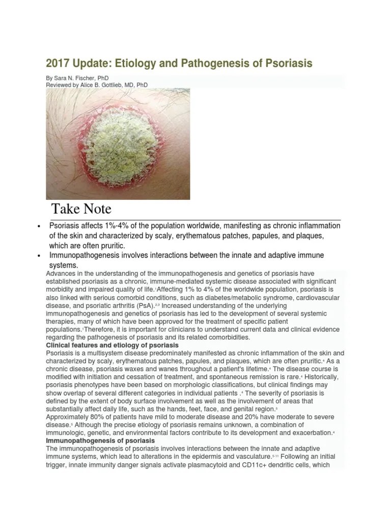 Pathogenesis Psoriasis Update 2017 | PDF | Psoriasis | T Helper Cell