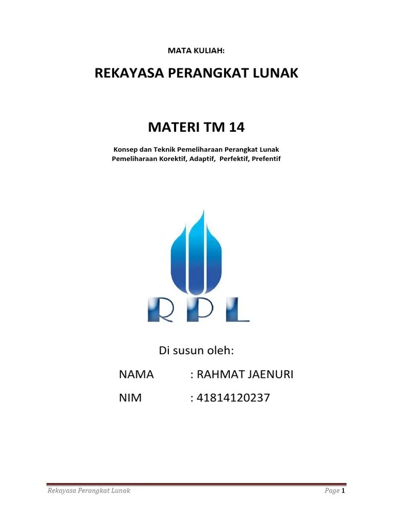 Pemeliharaan Perangkat Lunak | PDF