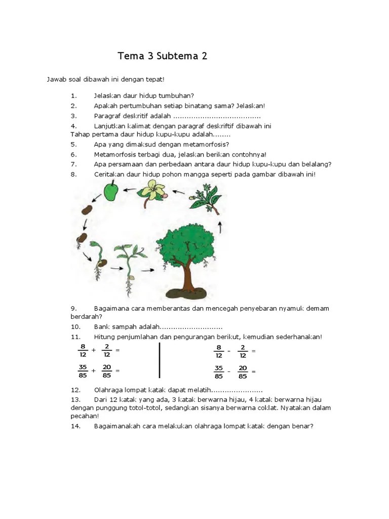 Jelaskan daur hidup tumbuhan gymnospermae. Daur Hidup Tumbuhan Mangga Materisekolah Github Io