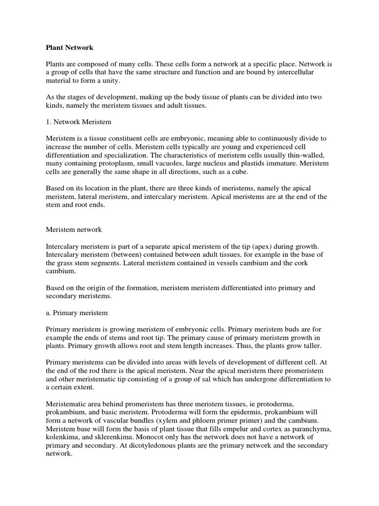 Jaringan Tumbuhan Dalam Bahasa Inggris | PDF | Tissue (Biology) | Leaf