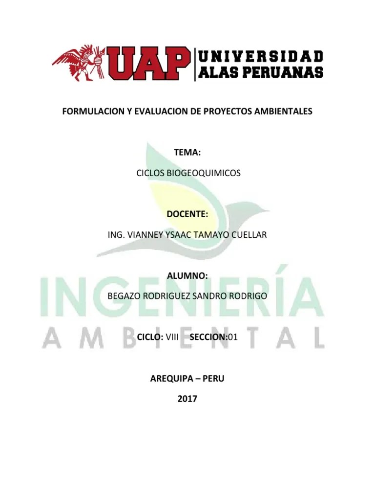 Formulacion Y Evaluacion De Proyectos Ambientales | PDF