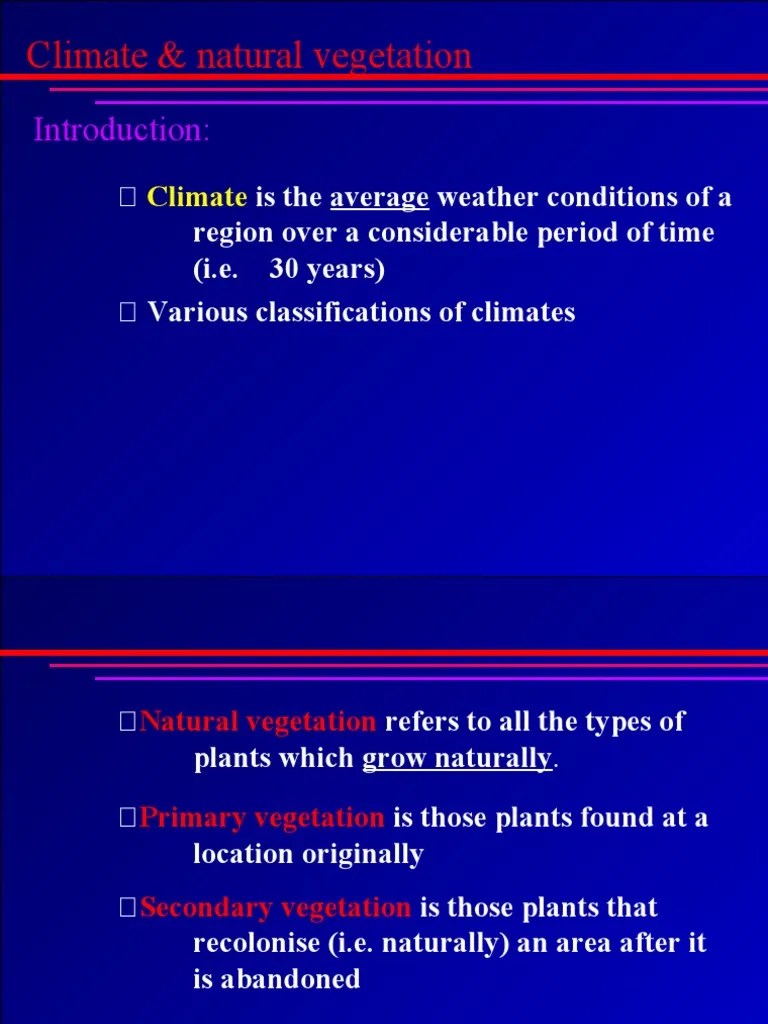 Geography Climate And Vegetation | Download Free PDF | Rainforest ...