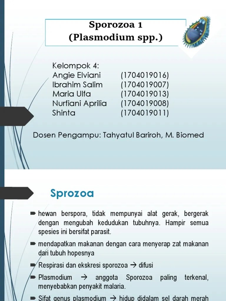 Kelompok 4 Sporozoa 1 Done | PDF