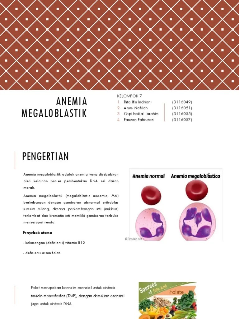 Hematologi Anemia Megaloblastik | PDF