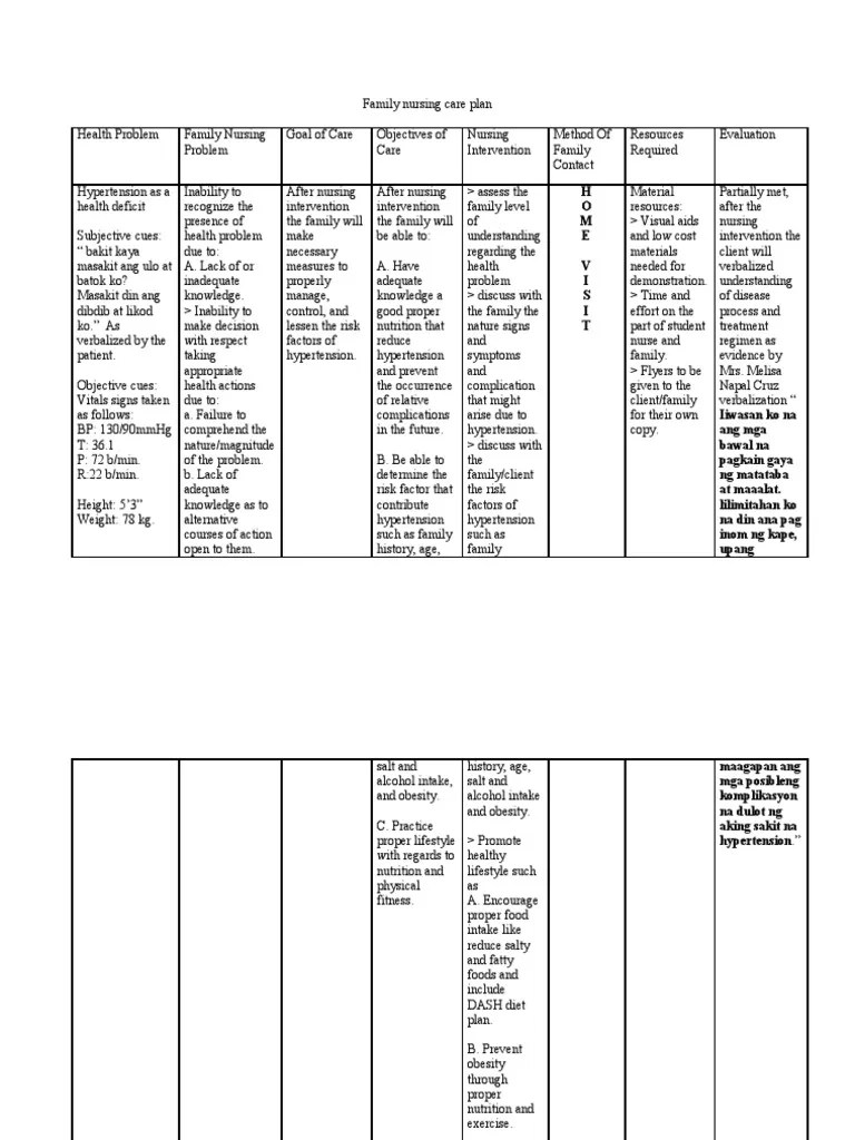 Table 5 Sample Family Nursing Care Plan Nursing Health Care Arrange for alternate placement when family is unable to provide care.
