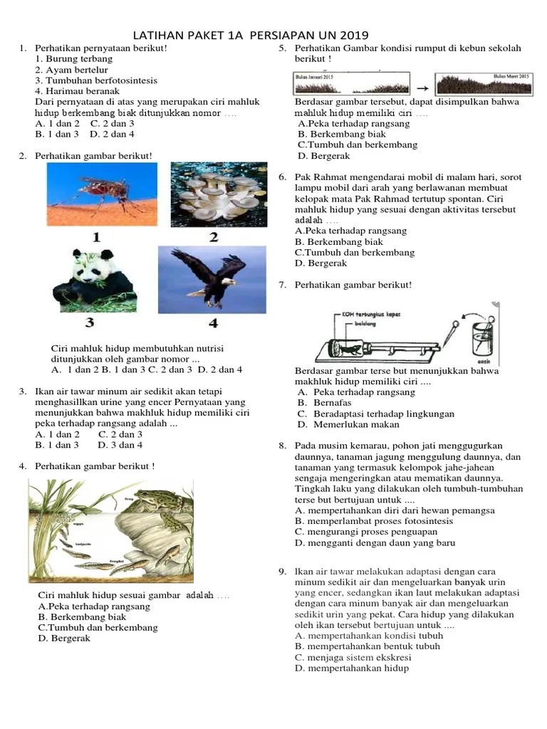 Misalkan manusia merasa sangat lapar pasti ia akan berupaya untuk mencari . Latihan Paket Biologi Persiapan Un 2019 Pdf