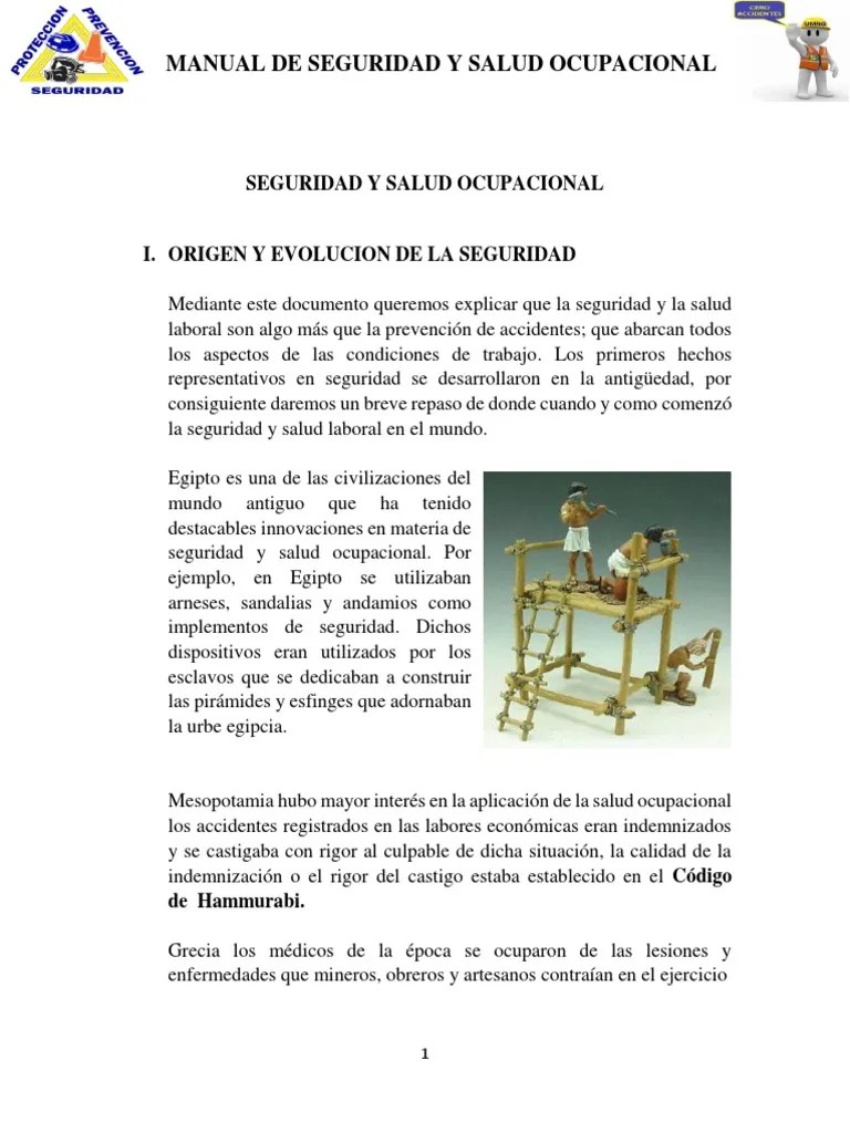 Seguridad Y Salud Ocupacional | PDF