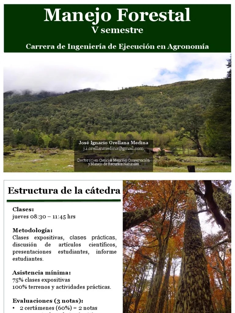 Clases 1 Forestal | PDF | Gestión De Bosques | Los Bosques