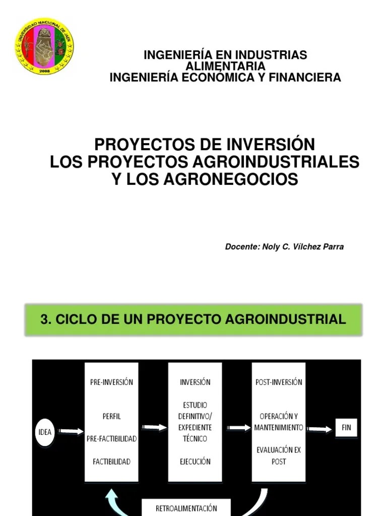 Proyectos De Inversión | PDF | Agronegocios | Presupuesto
